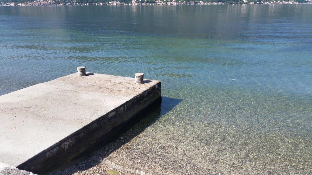 Villa Branka Kotor Bagian luar foto